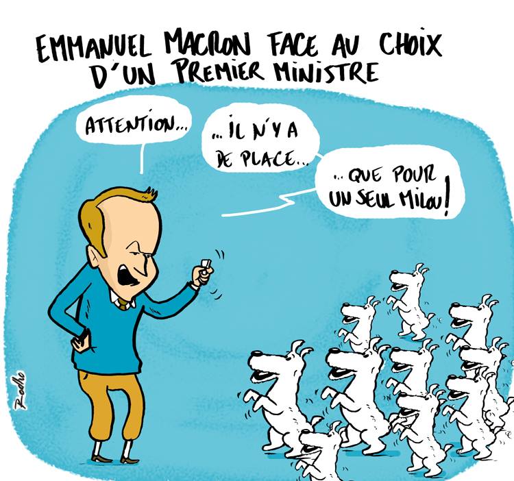 DIACRITIK Le dessin de la semaine de Rodho : Perlimtintin (1)