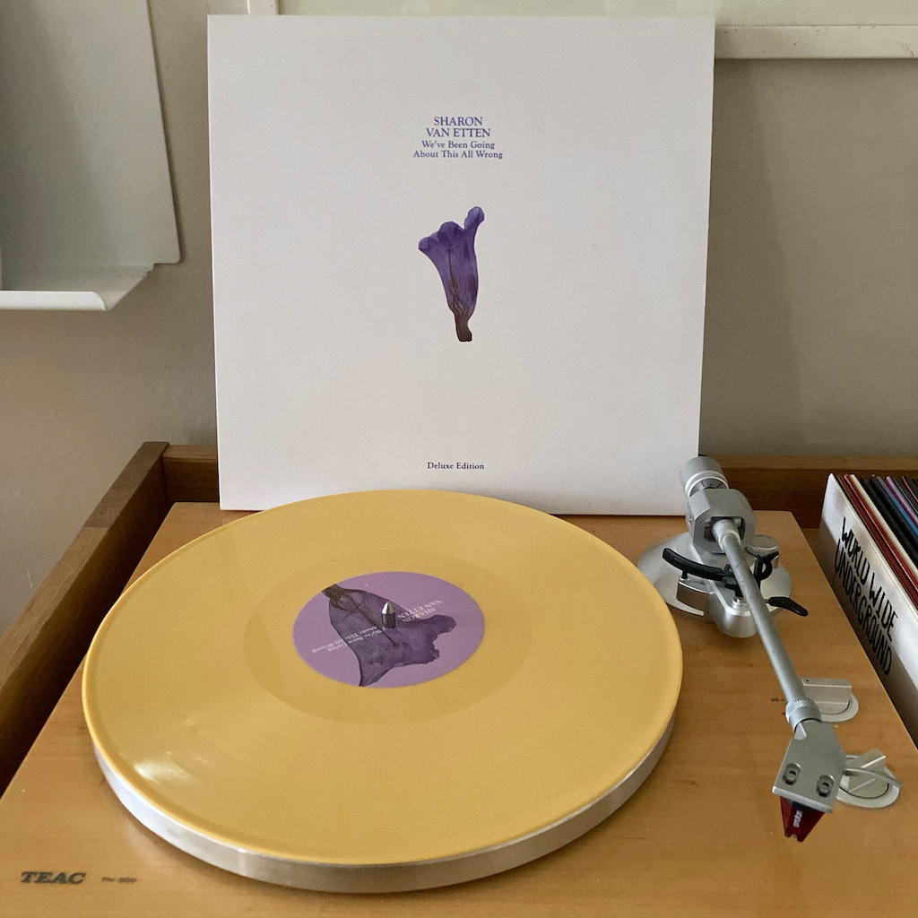 Sharon Van Etten Porta / Never Gonna Change / Used To It