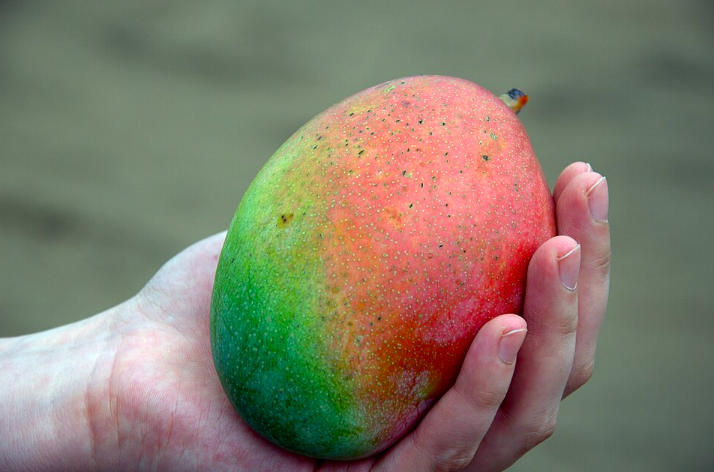 Catherine Weinzaepflen : il suffit de traverser la mer (feuilleton/26)