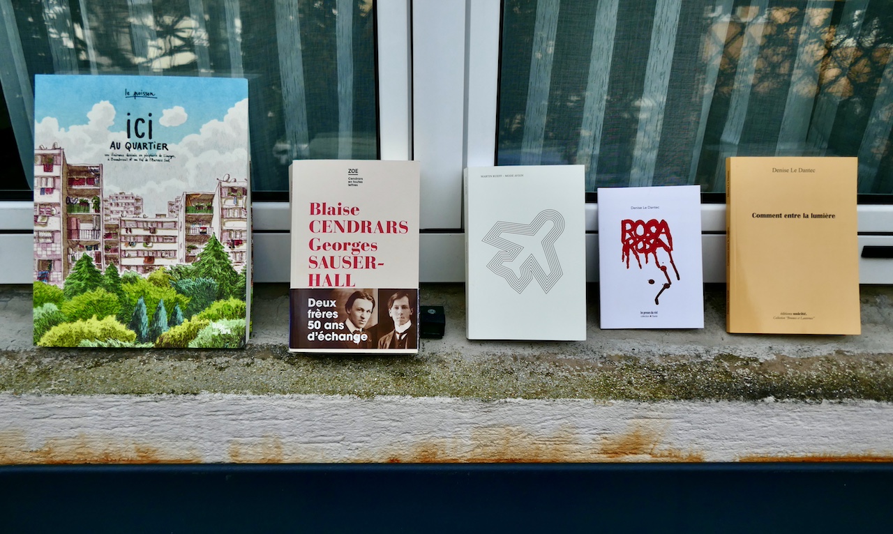 Terrain vague (63) – Tout brûler / tout préserver, voilà le mot d’ordre
